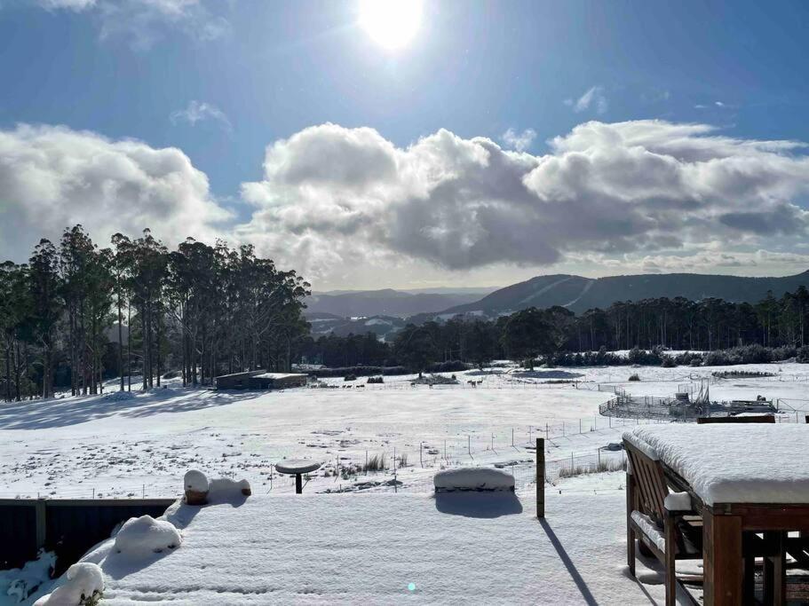 Amaroo With A View Set On A 50 Acre Hobby Farm Apartment Collinsvale ภายนอก รูปภาพ