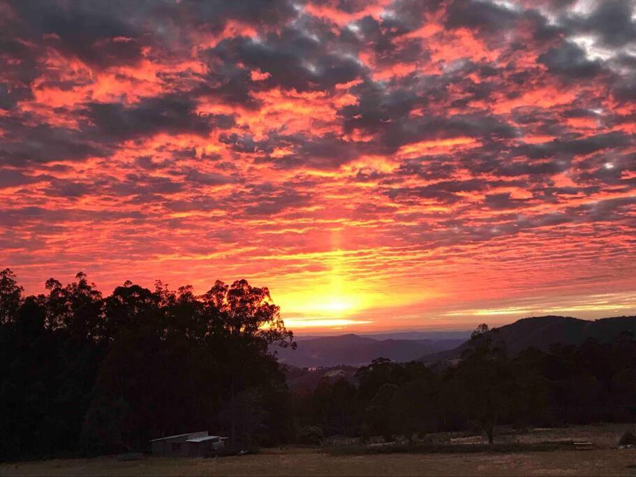 Amaroo With A View Set On A 50 Acre Hobby Farm Apartment Collinsvale ภายนอก รูปภาพ