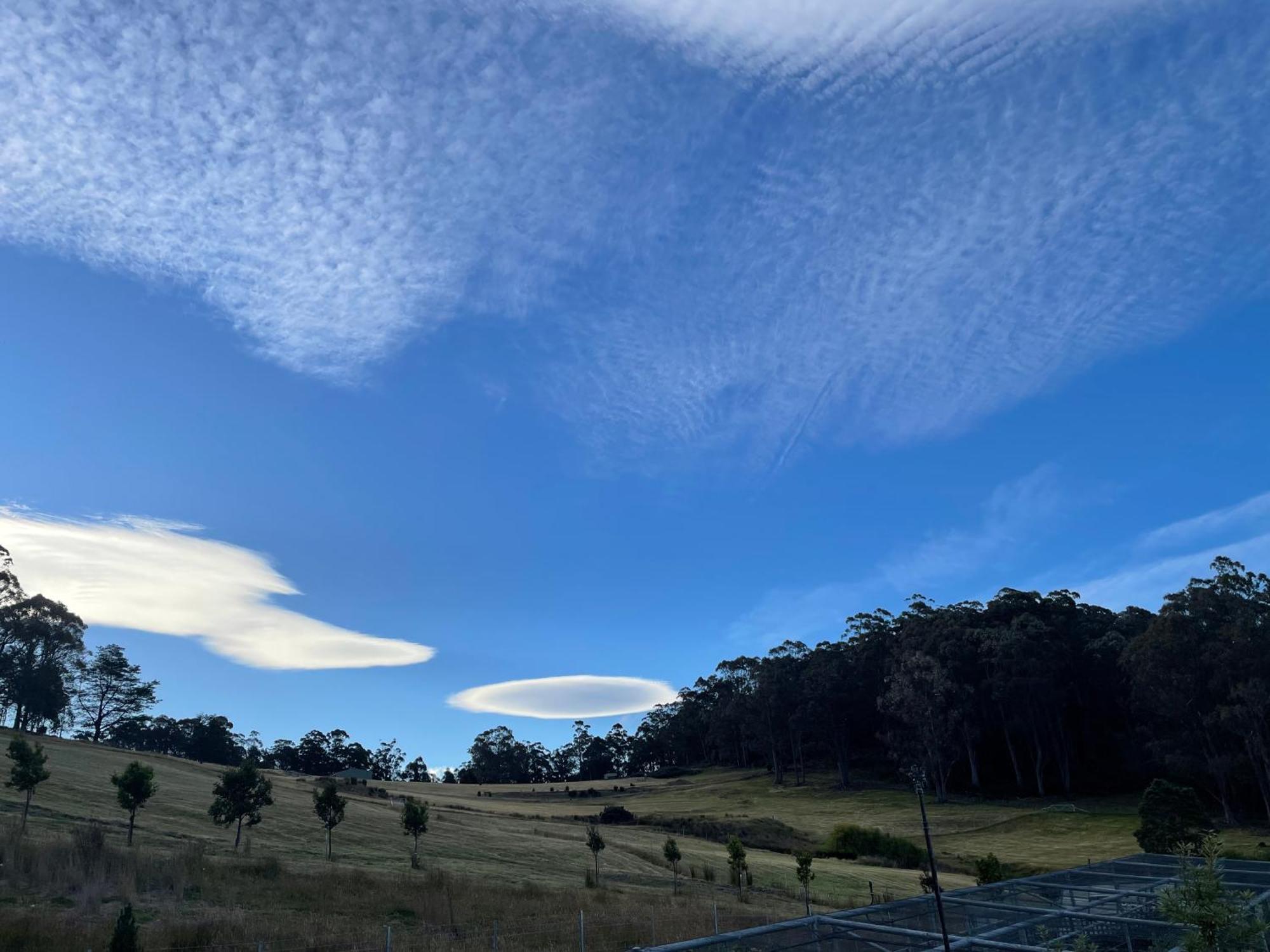 Amaroo With A View Set On A 50 Acre Hobby Farm Apartment Collinsvale ภายนอก รูปภาพ