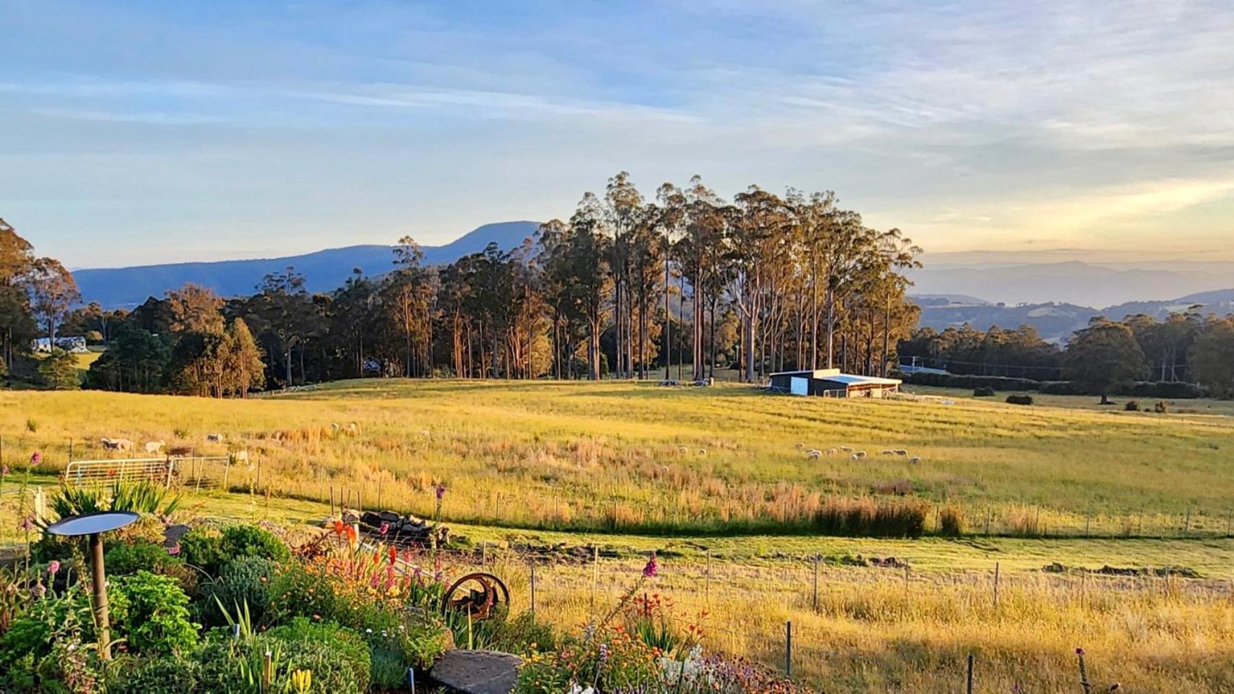 Amaroo With A View Set On A 50 Acre Hobby Farm Apartment Collinsvale ภายนอก รูปภาพ