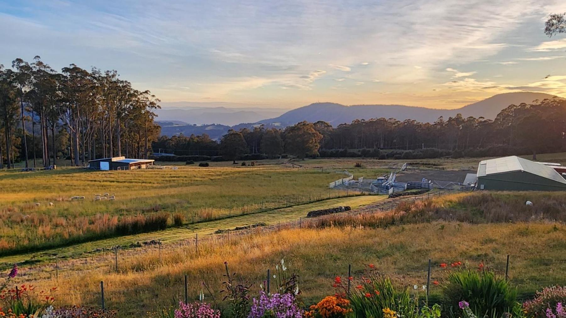 Amaroo With A View Set On A 50 Acre Hobby Farm Apartment Collinsvale ภายนอก รูปภาพ